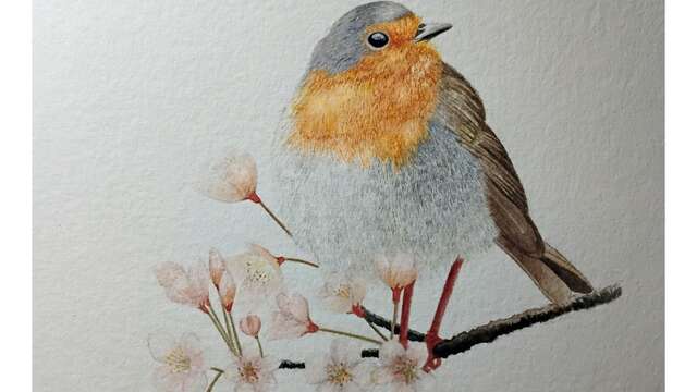 Exposition Aquarelles Animalières - Bernard Teboul