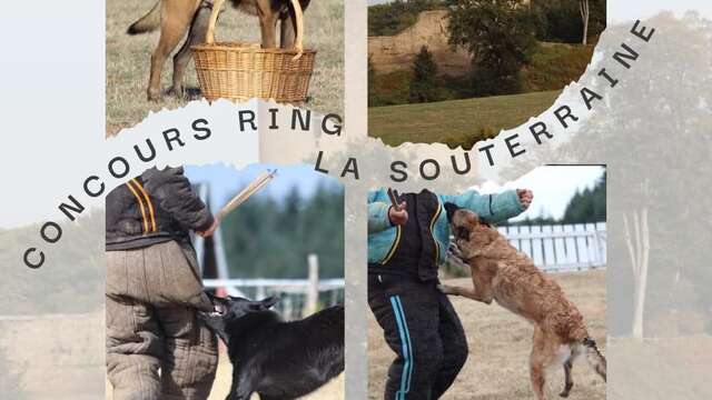 Traditionnel concours Ring