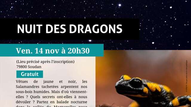 SORTIE NATURE : Nuit des dragons
