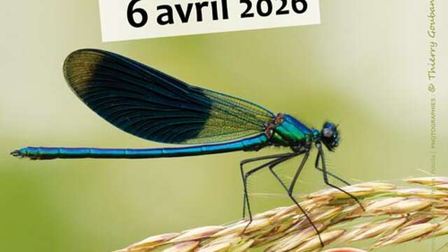 Cultur'Jardin - Fête des plantes à Pamproux