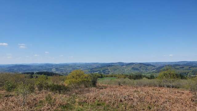 Patrimoine et forêt du Limousin