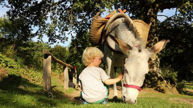 J'apprends à m'occuper de mon âne