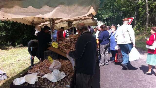 Foire de Roches