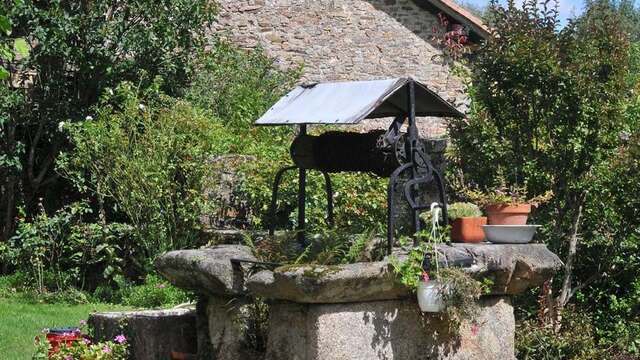 Les trois forêts : les sentiers de Burgou