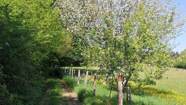 Sentier des forges et des moulins
