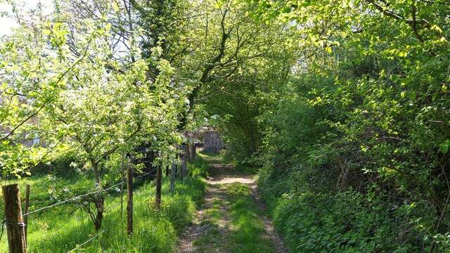 Sentier lacs et forêts