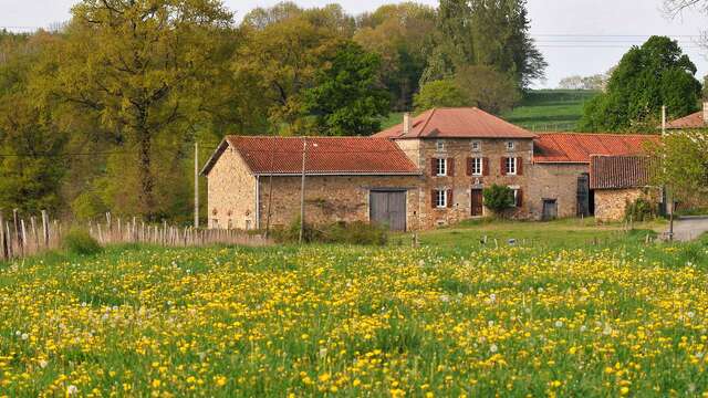 Sentier chez le Geai