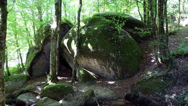 Sentier les Aubespins