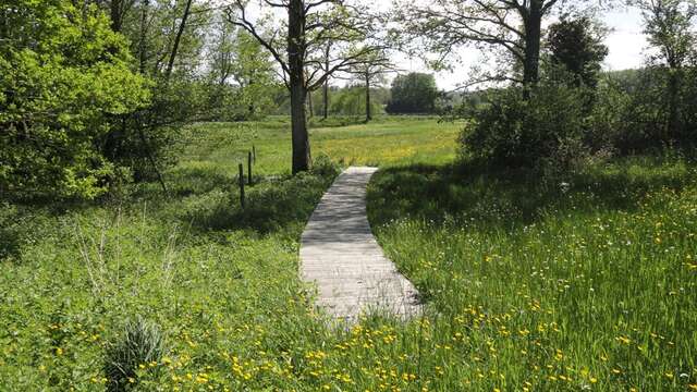 Sentier du bois des Chapelles