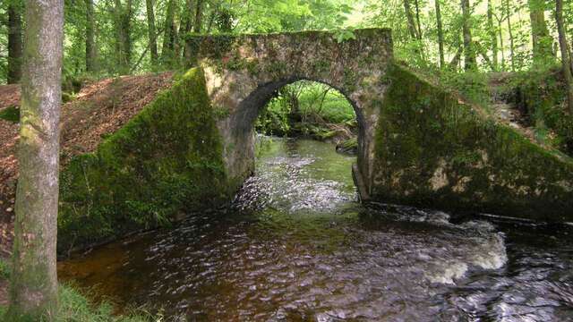 Sentier du Moulin Chabrou