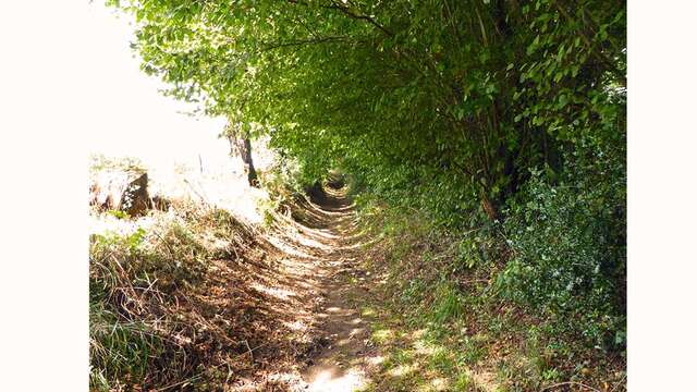 Les Hauts d'Oradour