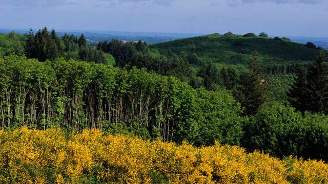 La Grande boucle du Parc Périgord-Limousin