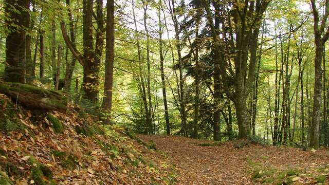 Sentier des carrières