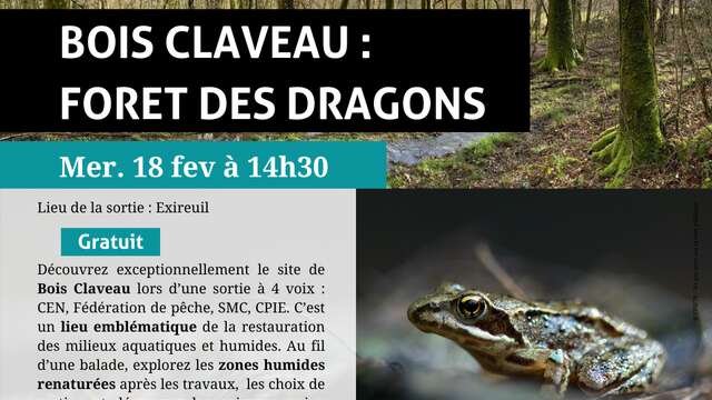 ANIMATION NATURE : « Bois Claveau : Forêt des dragons »