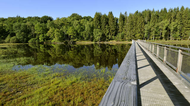Sentier de rives du Lac de Vassivière