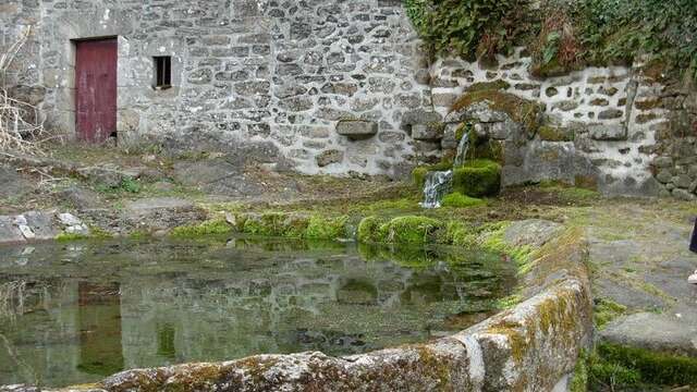 Fontaine-lavoir - Lieu dit Le Mas Barbu