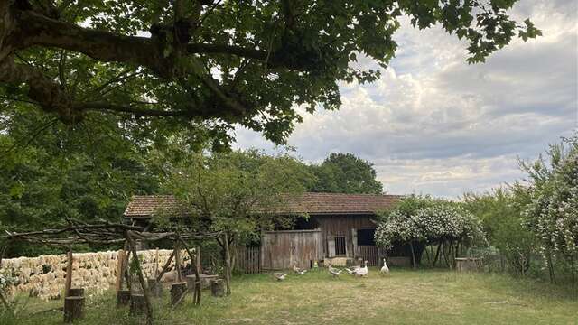 Automne en Scène : Découverte d'une bergerie