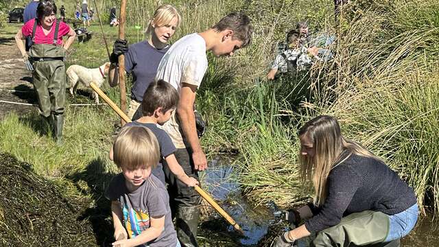 Journée Ecocitoyenne - Arrachage des plantes aquatiques invasives