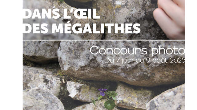 Concours photo "Dans l'oeil des mégalithes"