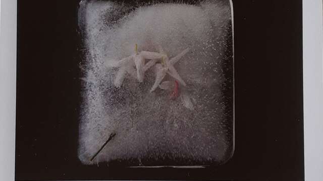 Photographies Voyages Poétiques