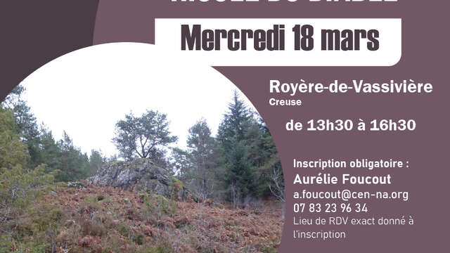 Chantier d'entretien d'une lande sèche