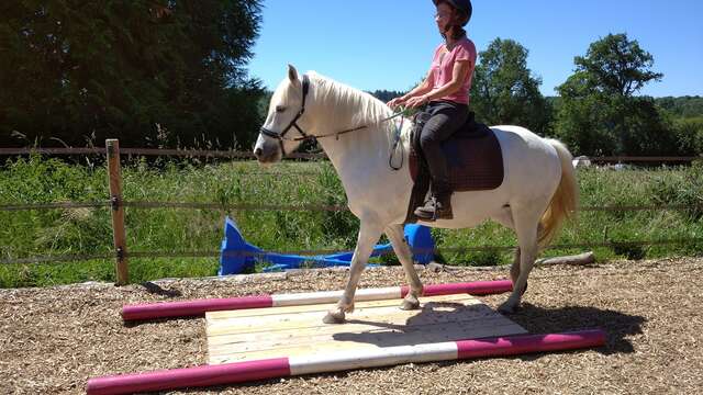 Centre équestre "Les Chevaux de Chamousseau" à Château-Chervix