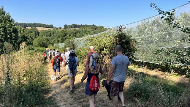 Route de la Pomme du Limousin - Visite verger 2025