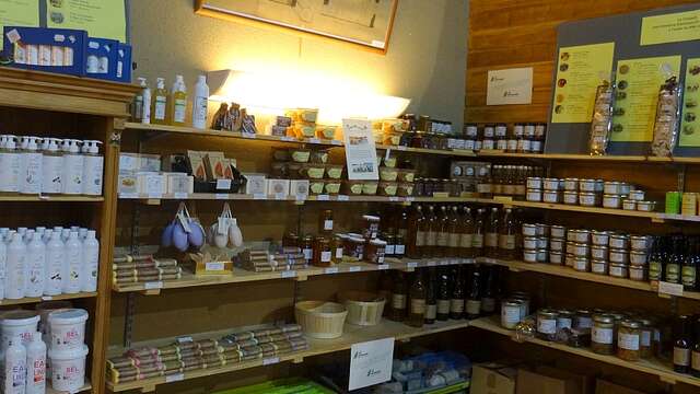 Exposition vente artisanale et producteurs régionaux