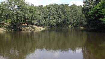 Etang de la marche