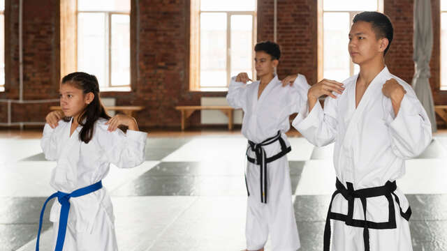 Tournoi de la Météorite