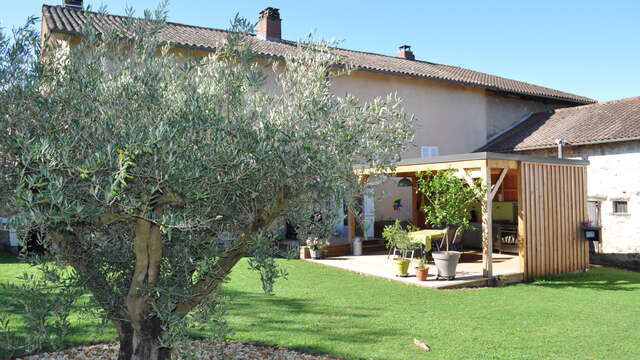 Les 3 oliviers - Appartement Picholine