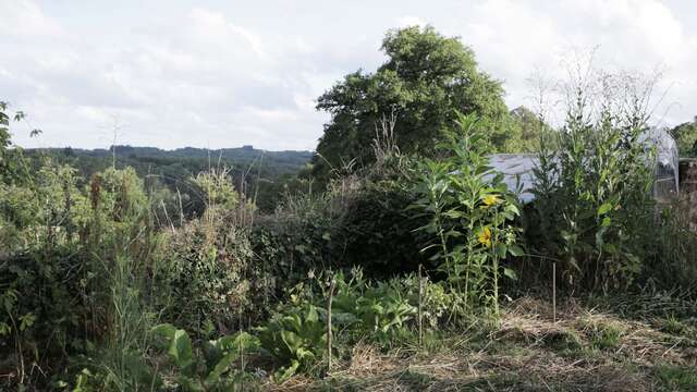 Faire sa mare naturelle