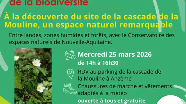 ABC de la biodiversité : la cascade de la Mouline