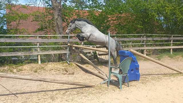 Equestrian Center de Coux (Auzances)