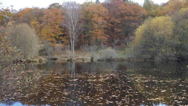 Tèrra Aventura : Laisser voguer les petits papiers...