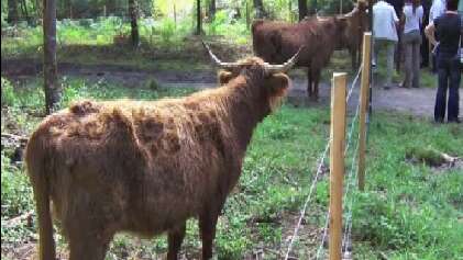 Découverte du Parc de Gombaut
