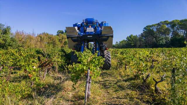 Micro-Folie : Visite guidée - Vendanges