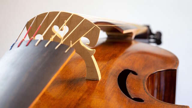 Concert de Robin Pharo