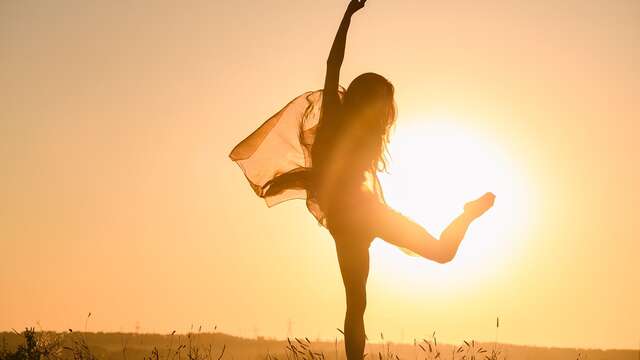 Stage initiation danse