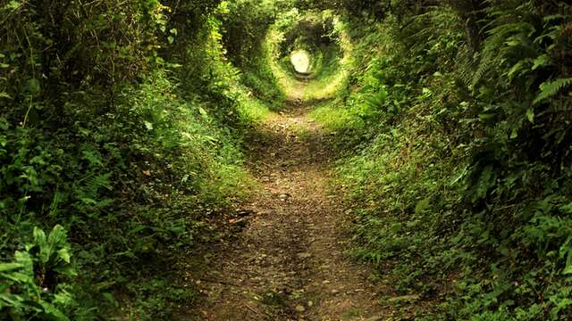 Contes pour adultes