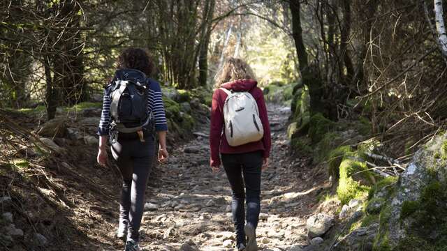L'hivernale du lac : randonnée
