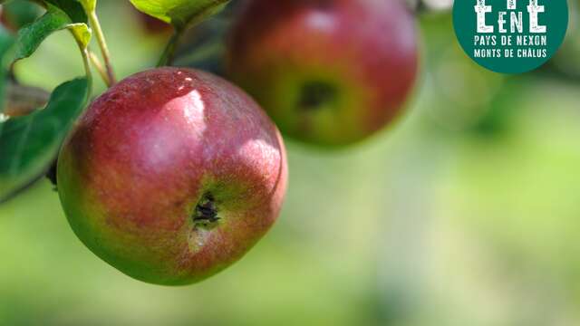 À la rencontre des producteurs - La pépinière Des racines pour demain