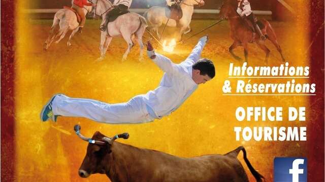 Spectacle Chevaux et Passions du Sud