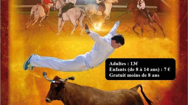 Spectacle Chevaux et Passions du Sud