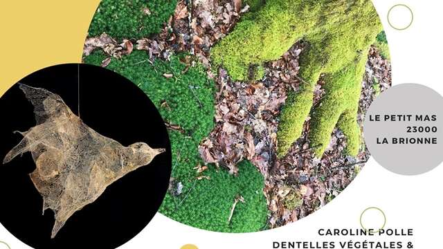 Exposition : Caroline Polle et Antoine Picot