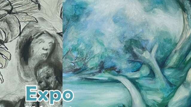 Exposition Carte Blanche Véronique PASTOR - Espace Monet Rollinat