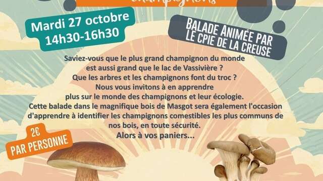 Balade nature à la découverte des champignons