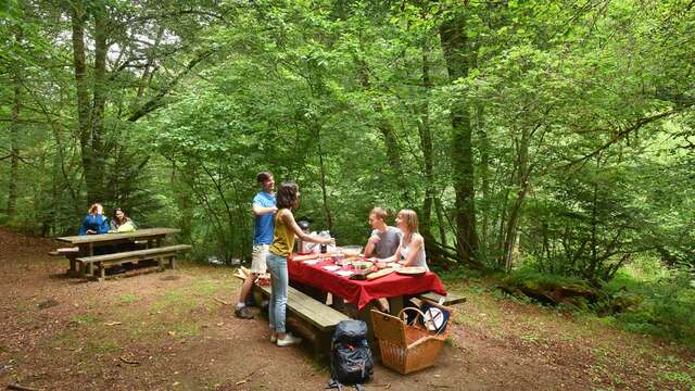 Aire de pique nique de la Cascade des Jarrauds