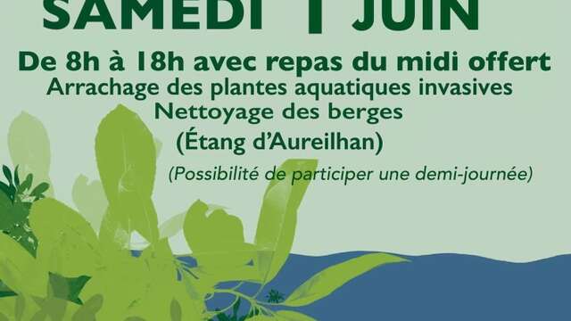Journée Ecocitoyenne - Arrachage des plantes aquatiques invasives