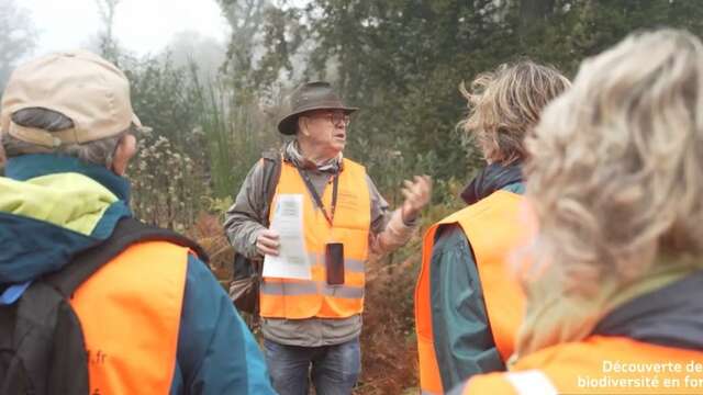 Balade-conférence en forêt